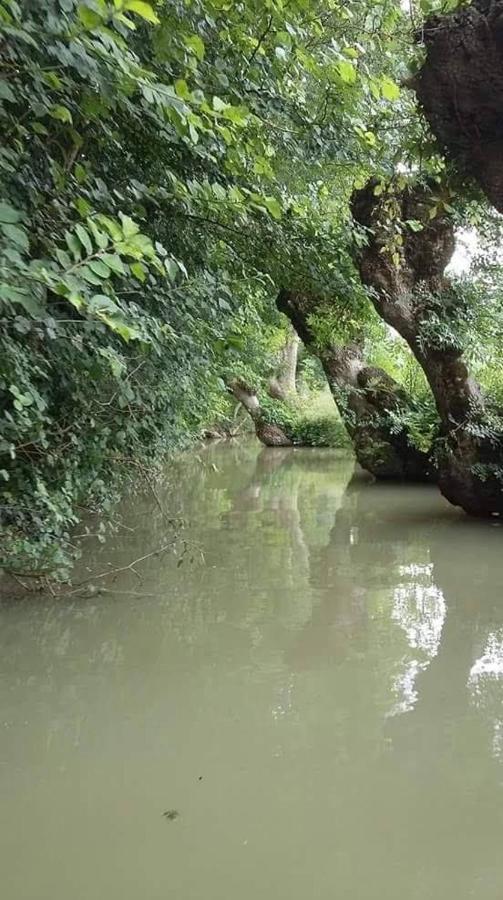 L' Esterlanges Suite Famille 2 Chambres 4 Personnes Proche Puydufou Saint-Vincent-Sterlanges Ngoại thất bức ảnh